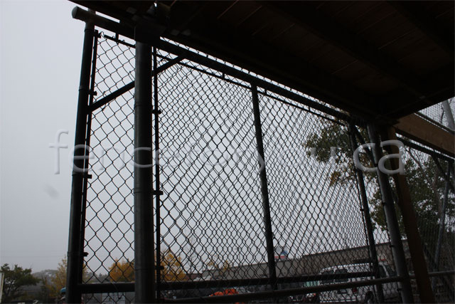 Chain Link fence picture